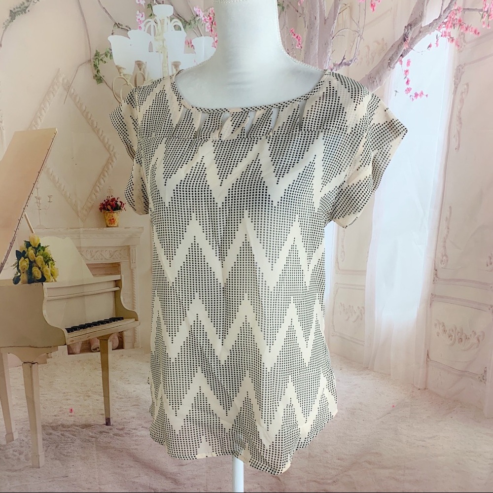 NEW The Limited Polka Dot Sheer Blouse